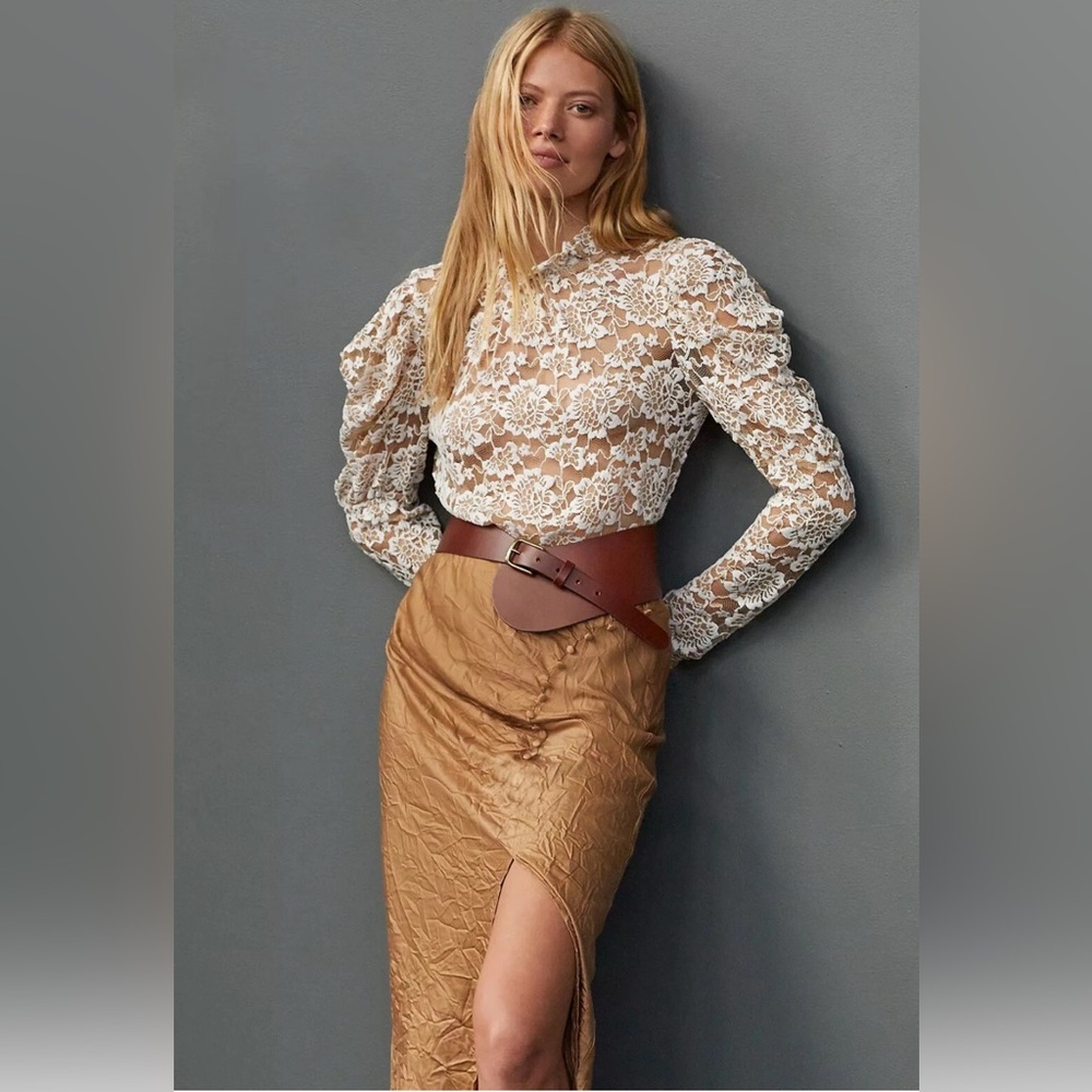 Anthropologie Dolan Left Coast Puff Sleeve sheer Lace mock neck Top Size L